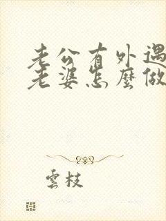 老公有外遇聪明老婆怎么做封面