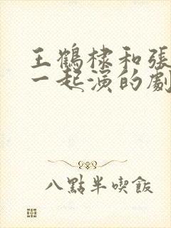 王鹤棣和张凌赫一起演的剧