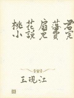 桃花扇落君不还小说免费完整版