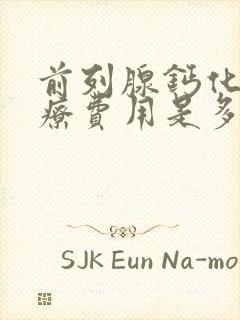 前列腺钙化灶治疗费用是多少封面