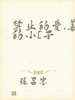 禁止的爱,善良的小[子