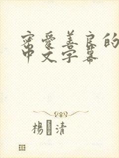 密爱善良的嫂子中文字幕