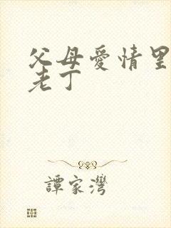 父母爱情里面的老丁