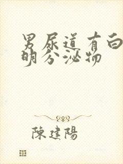 男尿道有白色透明分泌物