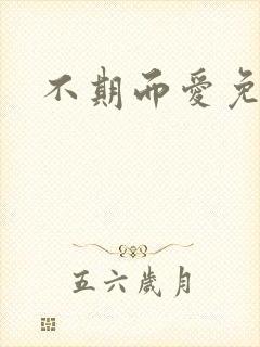 不期而爱免费封面