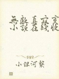 无敌真寂寞有声小说在线收听