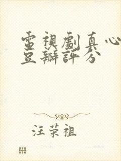 电视剧真心英雄豆瓣评分