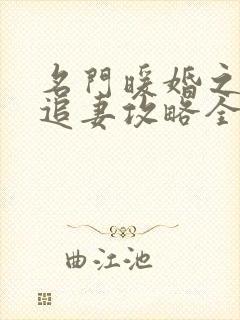 名门暖婚之权爷追妻攻略全文免费阅读