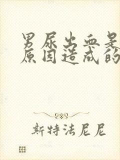 男尿出血是什么原因造成的