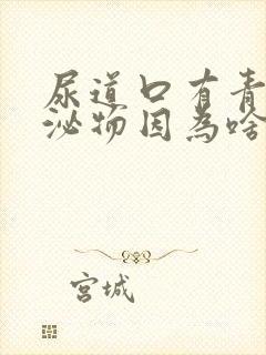 尿道口有青色分泌物因为啥