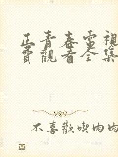 正青春电视剧免费观看全集完整版