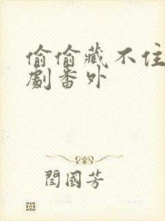 偷偷藏不住广播剧番外封面