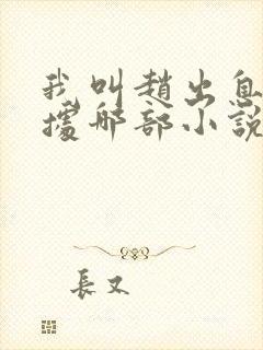 我叫赵出息是根据哪部小说改编的封面