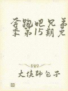 奔跑吧兄弟第一季第15期免费观看