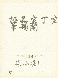 极品家丁完整版笔趣阁