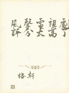 风声电视剧豆瓣评分太高了