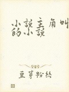 小说主角叫林霄的小说