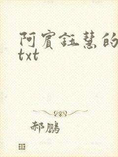 阿宾钰慧的小说txt