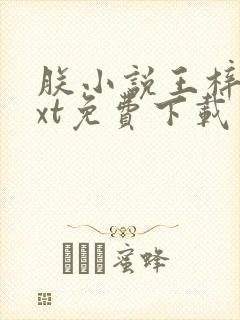 朕小说王梓钧txt免费下载封面