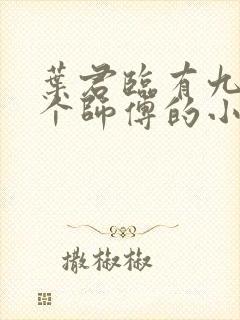 叶君临有九十九个师傅的小说