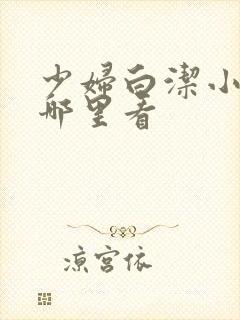 少妇白洁小说在哪里看