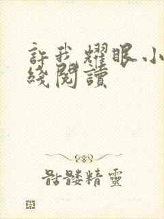 许我耀眼小说在线阅读封面