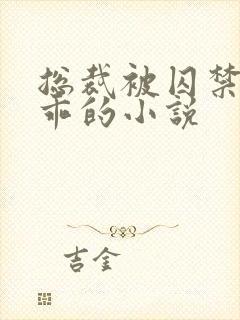 总裁被囚禁后变乖的小说