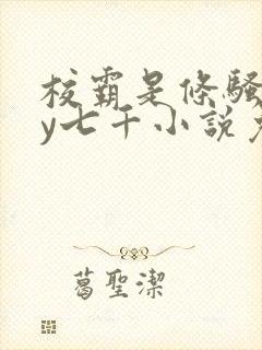 校霸是条骚狗by七千小说免费阅读