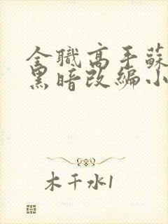 全职高手苏沐橙黑暗改编小说