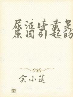 尿液暗黄是什么原因引起的