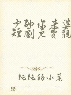 少帅你老婆跑了短剧免费观看全集