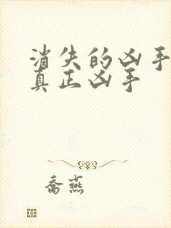 消失的凶手结局真正凶手