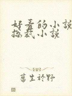 好看的小说推荐总裁小说