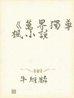 《万界独尊》林枫小说