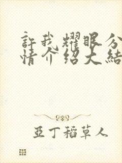 许我耀眼分集剧情介绍大结局