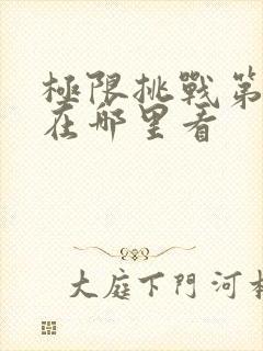 极限挑战第二季在哪里看