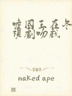 嘘国王在冬眠电视剧吻戏