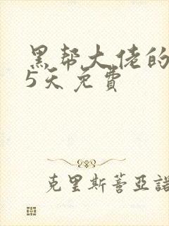 黑帮大佬的365天免费