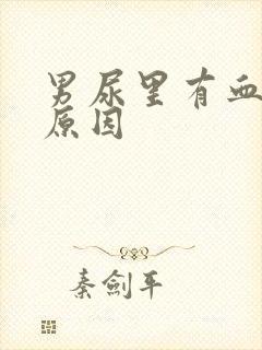 男尿里有血什么原因封面