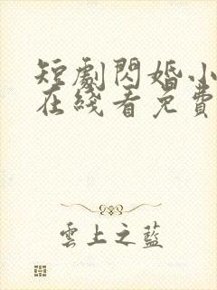 短剧闪婚小甜妻在线看免费封面