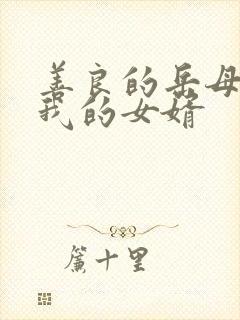 善良的岳母我爱我的女婿封面