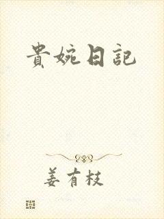 贵婉日记封面