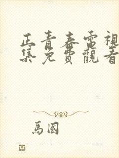 正青春电视剧全集免费观看下载封面