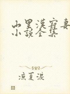 山里汉宠妻无度小说全集