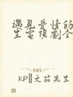 遇见爱情的利先生电视剧全集剧