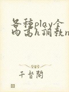 各种play全肉高h调教np封面