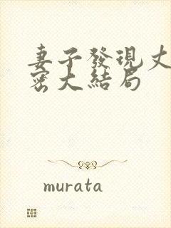 妻子发现丈夫秘密大结局