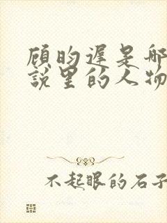 顾昀迟是哪本小说里的人物封面