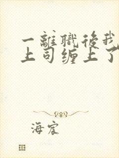 一离职后我被前上司缠上了