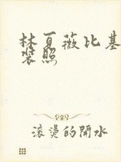 林夏薇比基尼泳装照